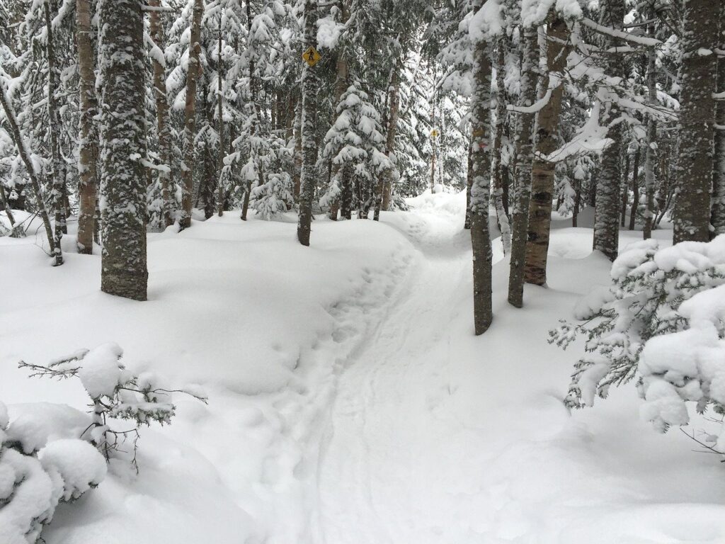 Michigan trail in winter